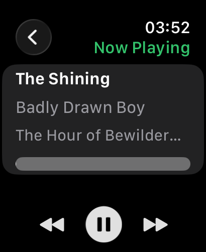 Kanora Now Playing on Apple Watch